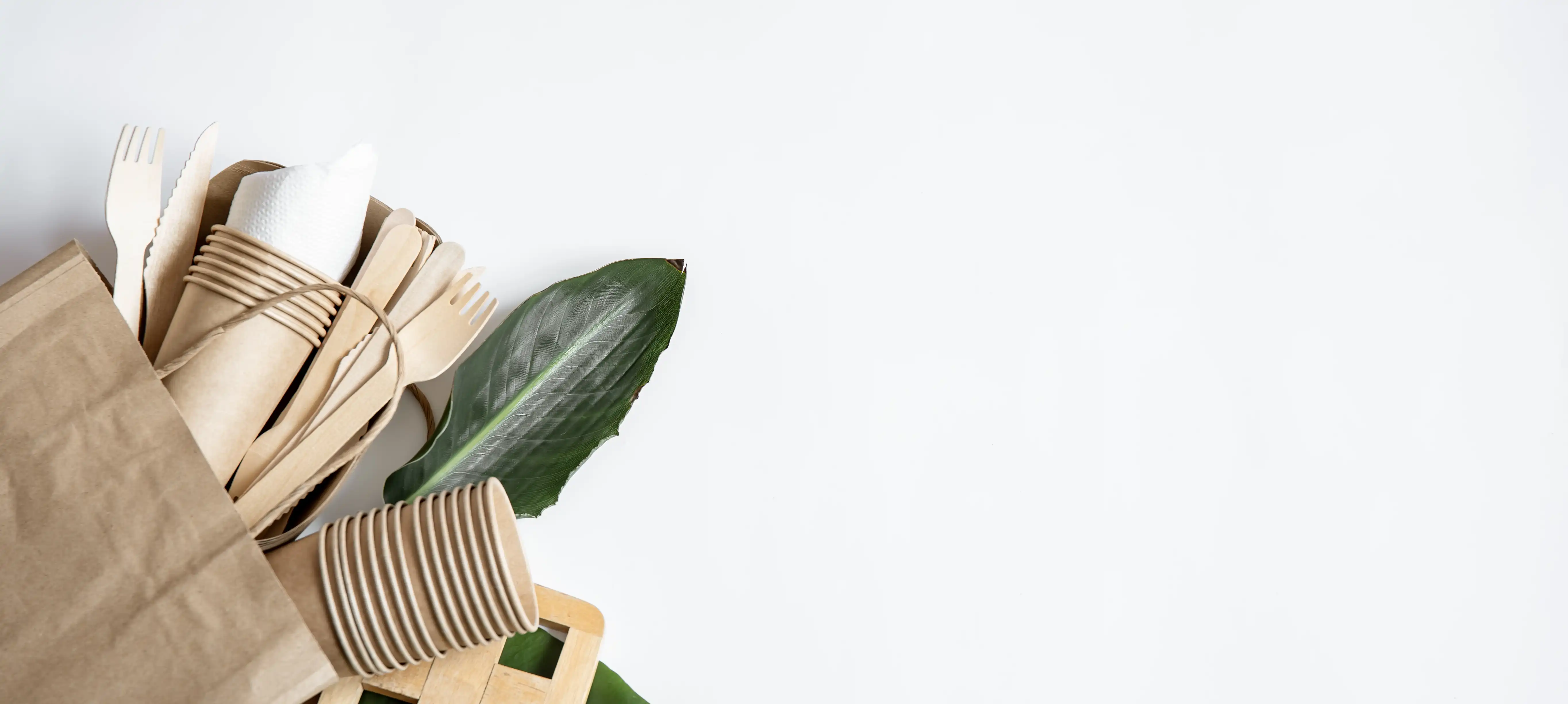 Packaging - Japan Compostable Resin Pellet Market (2026-2036)